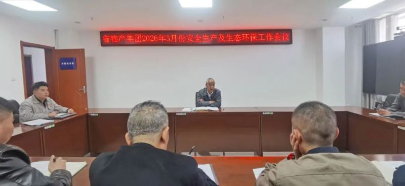 集團(tuán)召開3月份安全生產(chǎn)及生態(tài)環(huán)保工作會議