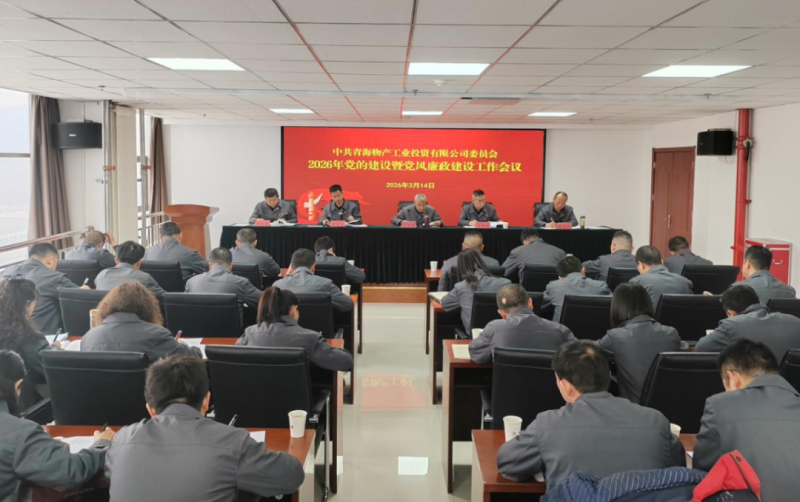 工投公司黨委召開2026年黨的建設(shè)暨黨風(fēng)廉政建設(shè)工作會(huì)議