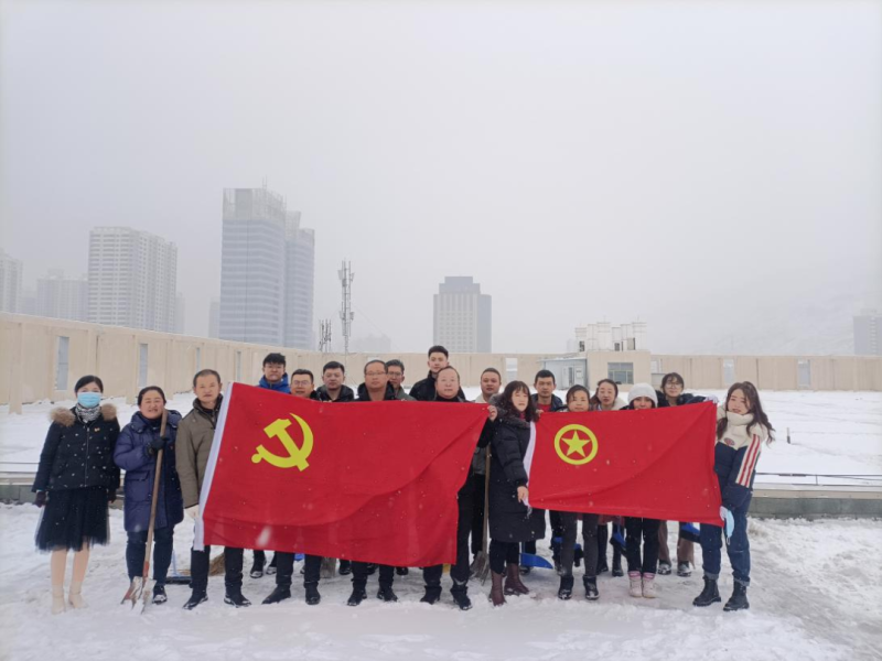 黨團齊發(fā)力 除雪在一線&mdash;&mdash;現代物流公司黨支部開展除雪保安全活動