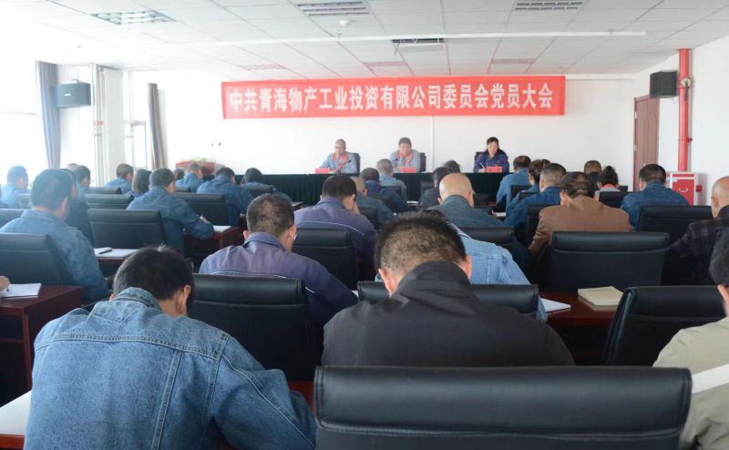 實(shí)干擔(dān)當(dāng)拼搏趕超 為奪取新時(shí)代物產(chǎn)工投綠色低碳高質(zhì)量發(fā)展新勝利不懈奮斗 &mdash;&mdash;物產(chǎn)工投公司黨委召開換屆選舉大會(huì)