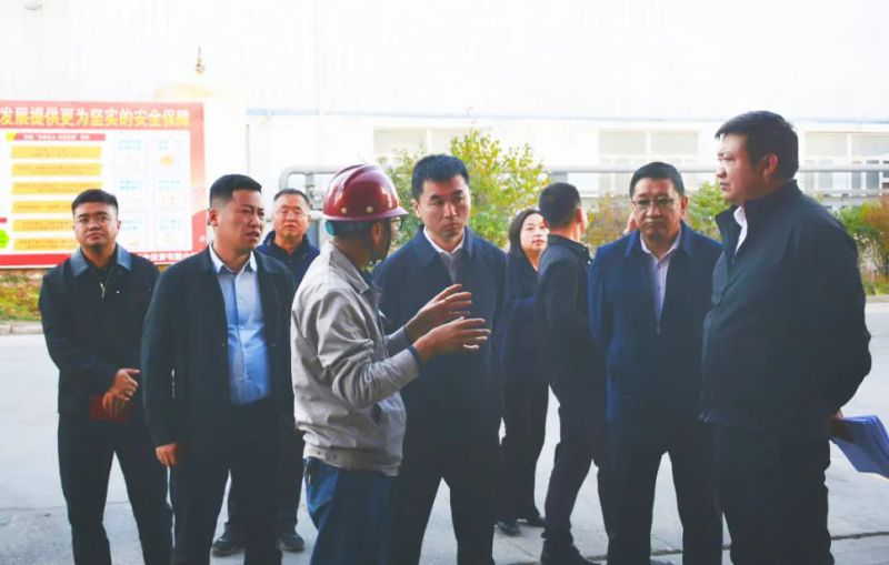 大通縣委副書記、縣長馬明旭一行蒞臨工投公司調研指導